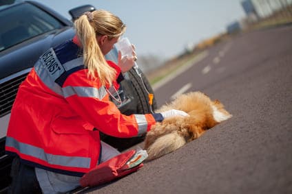 Urgence VETERINAIRE Montpellier