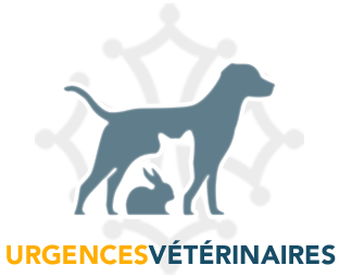 Urgence VETERINAIRE Montpellier