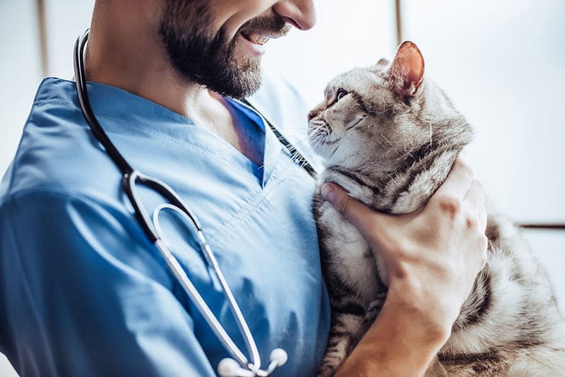 Urgence VETERINAIRE Montpellier