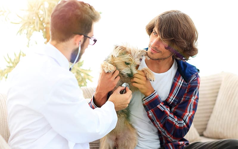 Urgence VETERINAIRE Montpellier