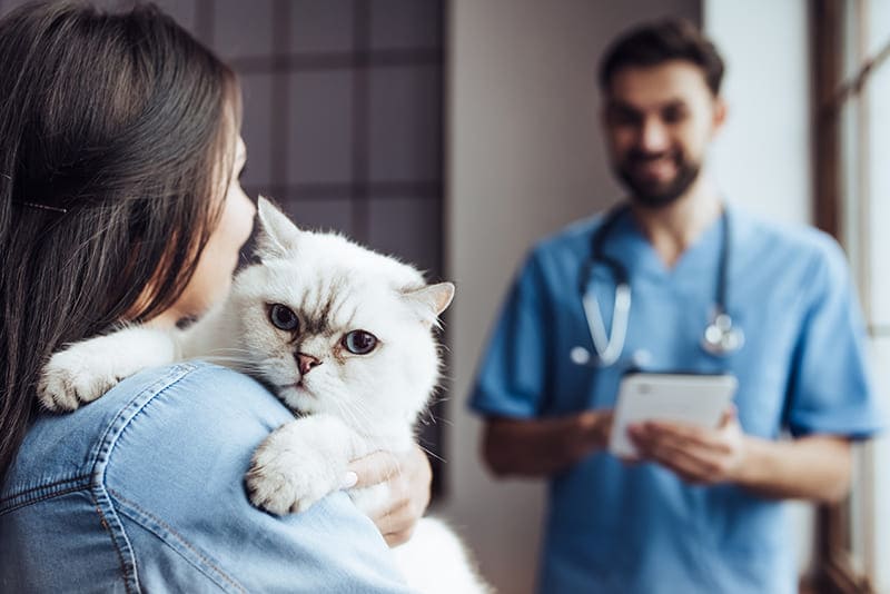 Urgence VETERINAIRE Montpellier